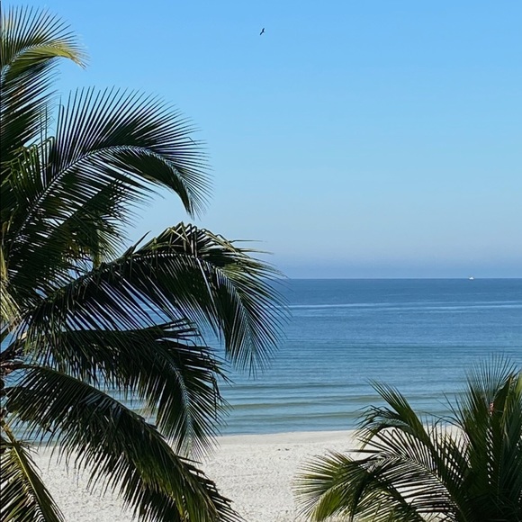 Meet your Posher, Lucia - Picture 1 of 1